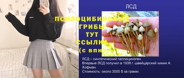 эйфоретик Бородино