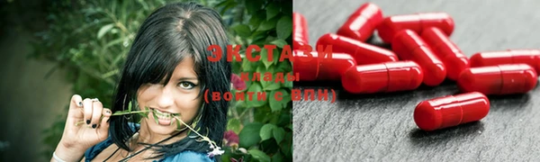 стаф Богородицк