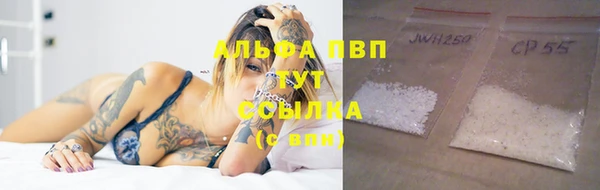 ПСИЛОЦИБИНОВЫЕ ГРИБЫ Богданович
