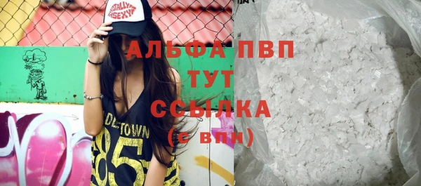 стаф Богородицк