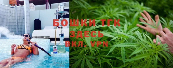 эйфоретик Бородино
