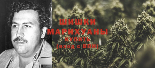 ПСИЛОЦИБИНОВЫЕ ГРИБЫ Богданович