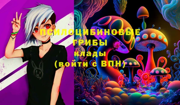 гашик Бугульма