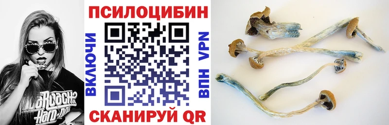 наркота  МЕГА ссылка  Псилоцибиновые грибы прущие грибы  Могоча 